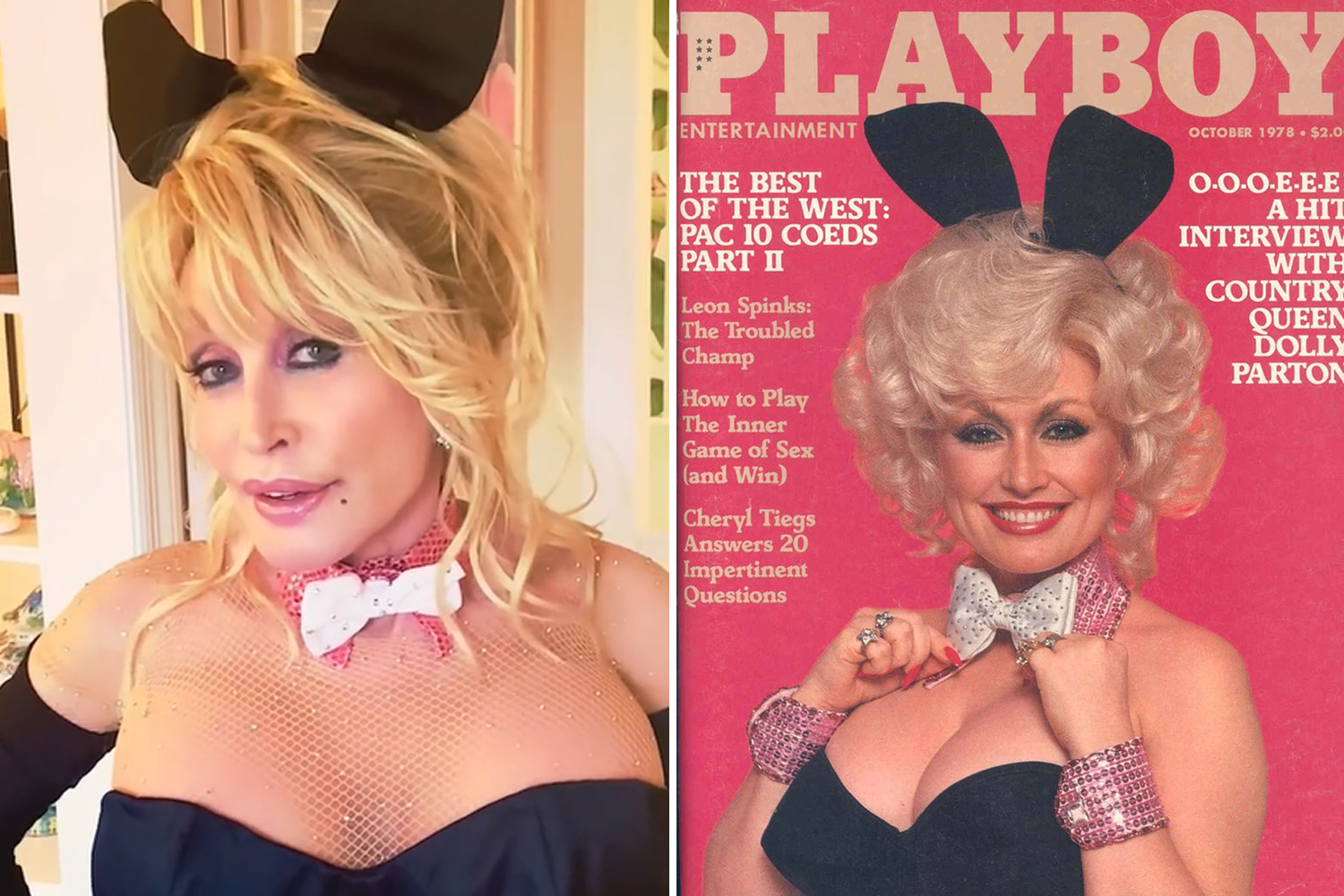 dana corsaro add has dolly parton ever posed naked photo