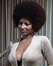 alison jackson add pam grier boobs photo