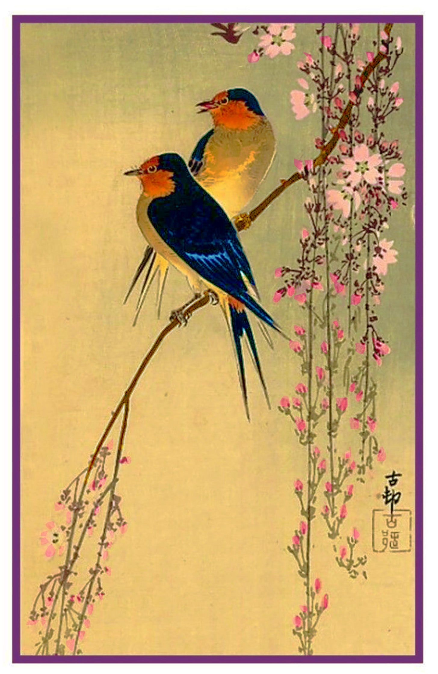 barbara elkaz add japan swallow image