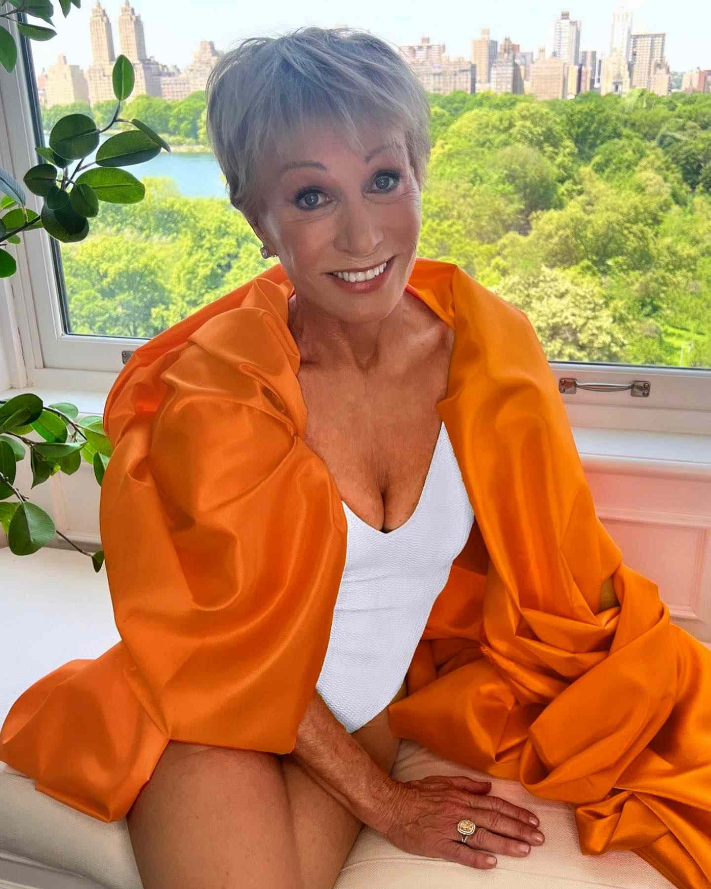 donnie nabus add barbara corcoran nude photo