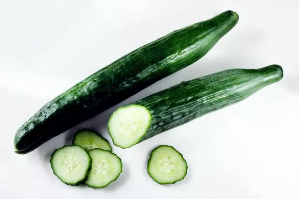 cikal putra add cucumber masturbator photo