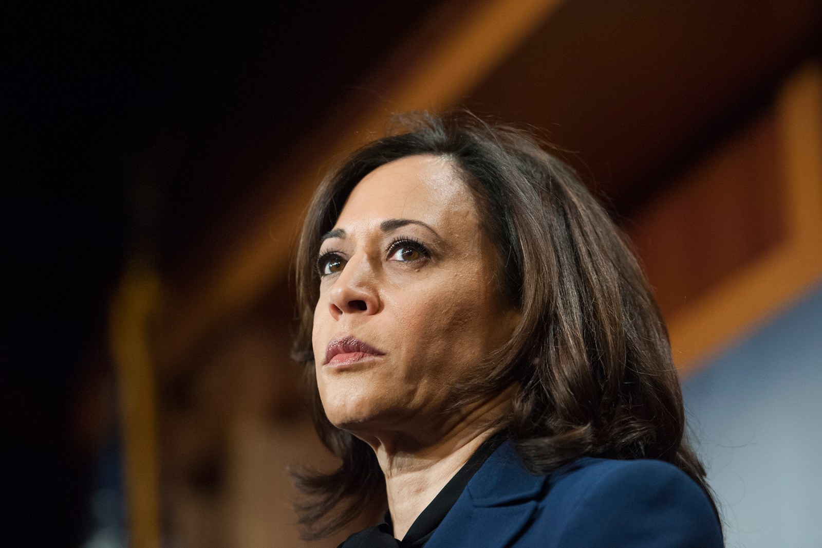 donna heil add kamala harris naked image