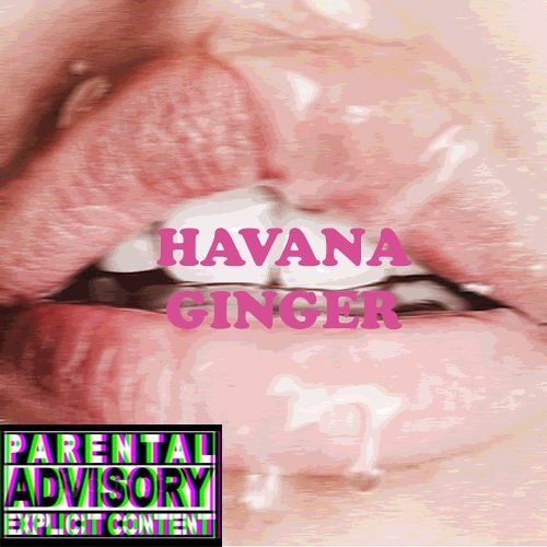 dani kovacs add havana ginger photo