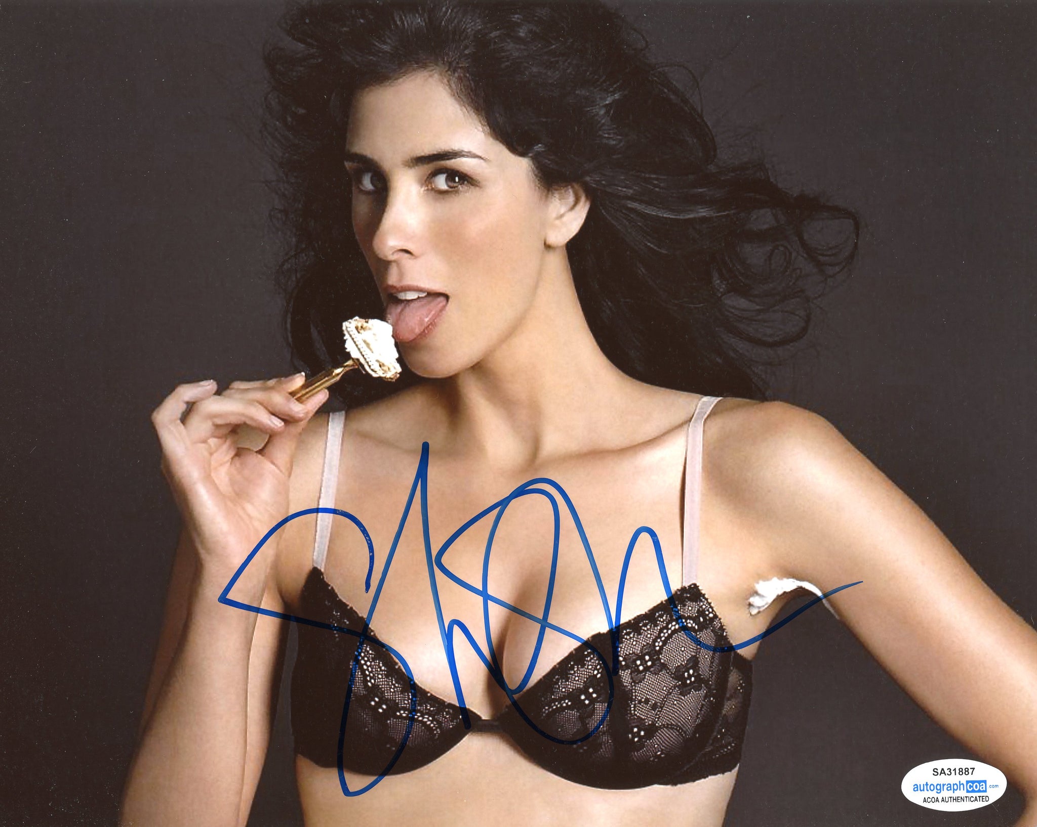 brian heidtke add sarah silverman sexy photo