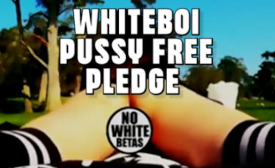 amy max add pussyfree pledge image