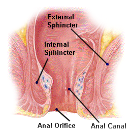 di sh add anal fist guide image