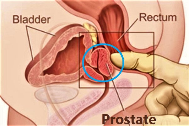 danny tibo add prostate sex stories image