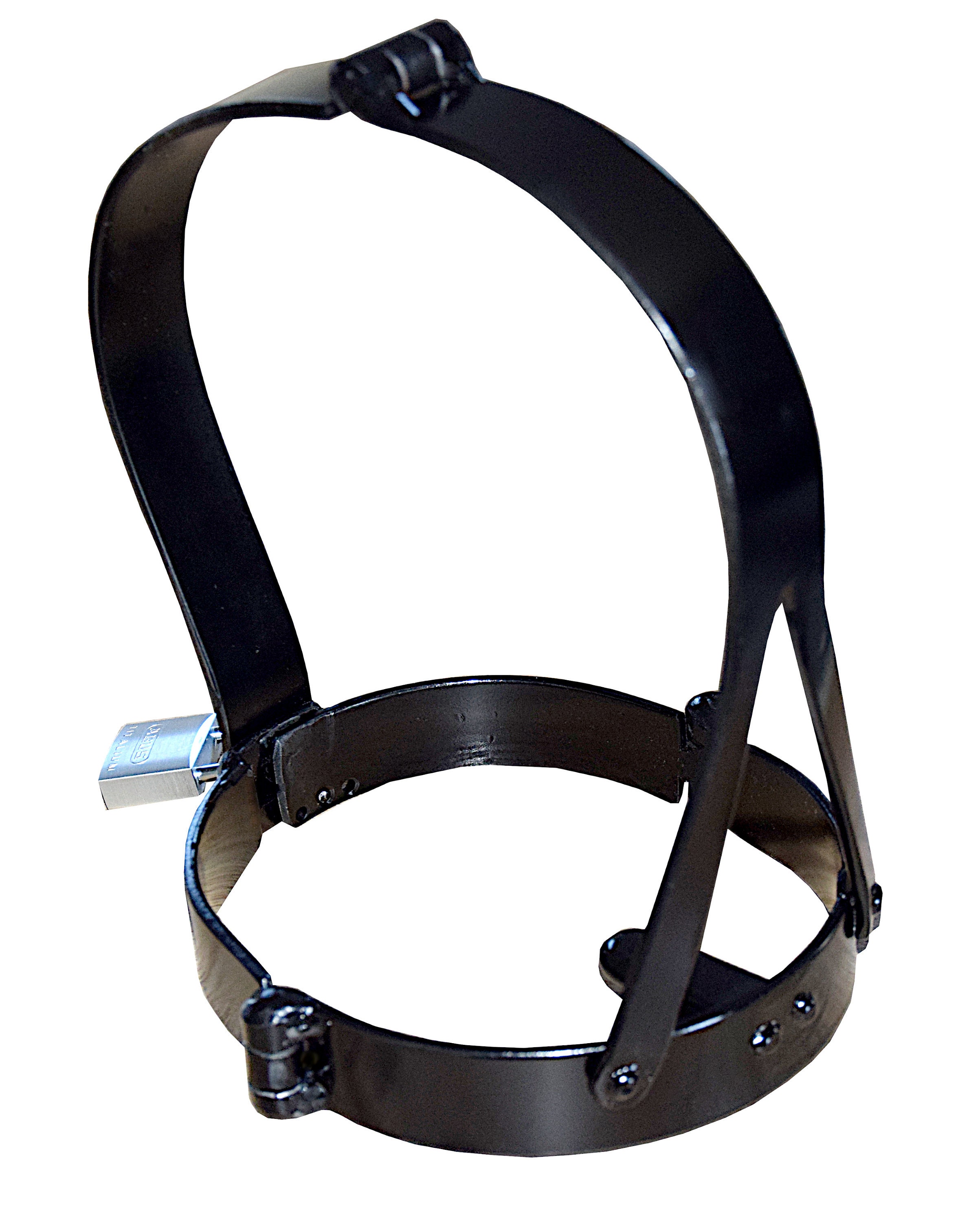 brian hawken add scolds bridle bdsm photo