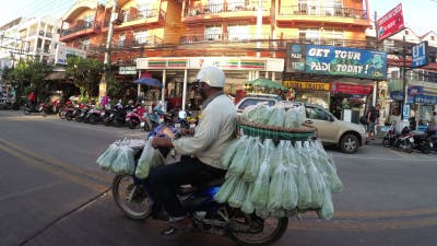 audrey edwards add asian riding pov photo