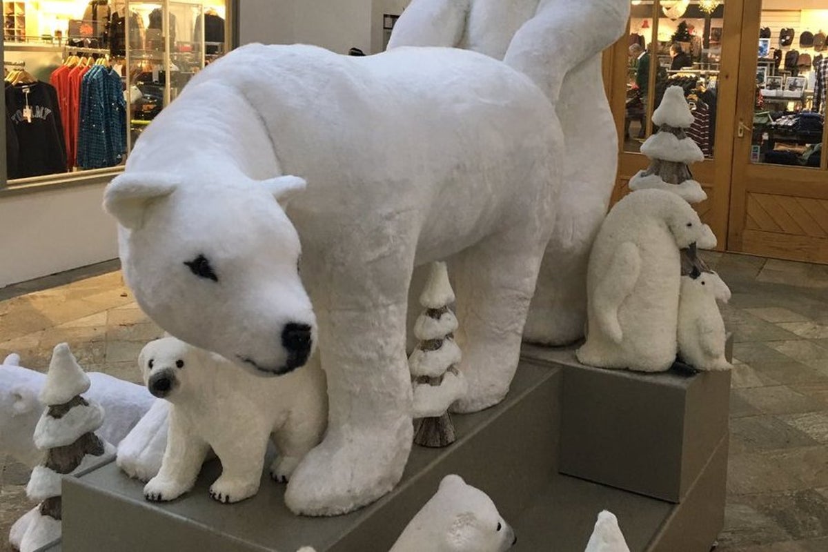 candace worley add polar bear porn photo