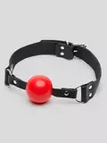 allan pang add bondage ball gag photo