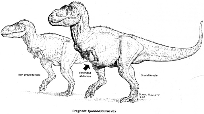 david kenn add dinosour porn image