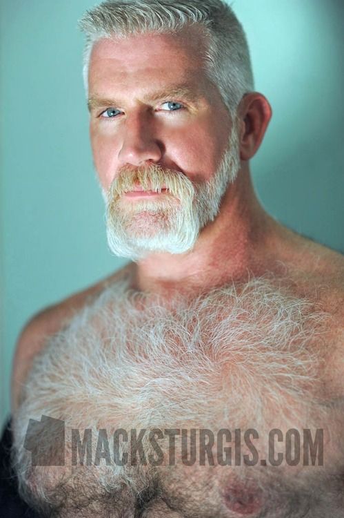 ally hart add silver bear daddies photo