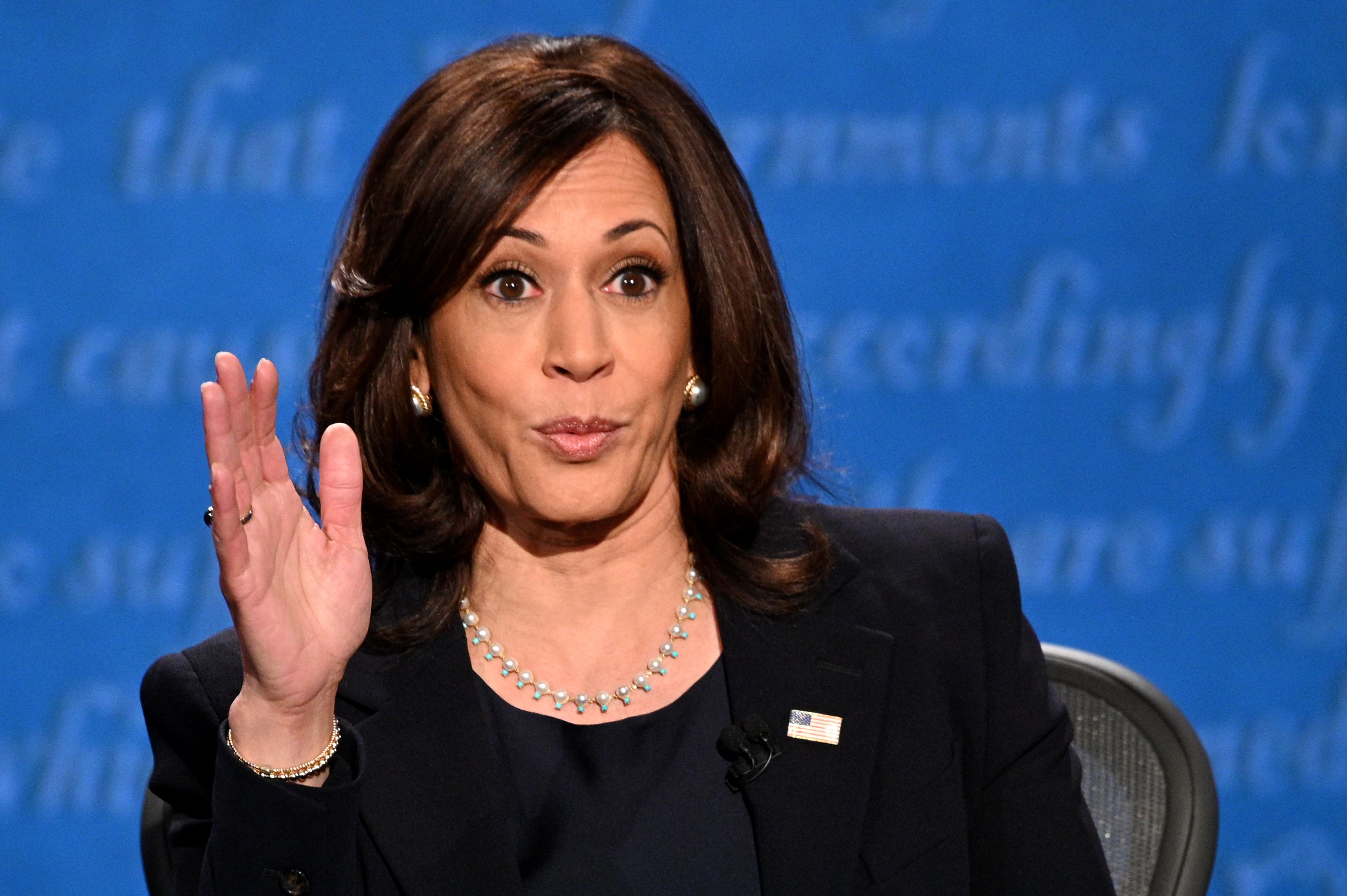 charlie hassan add kamala harris naked photo