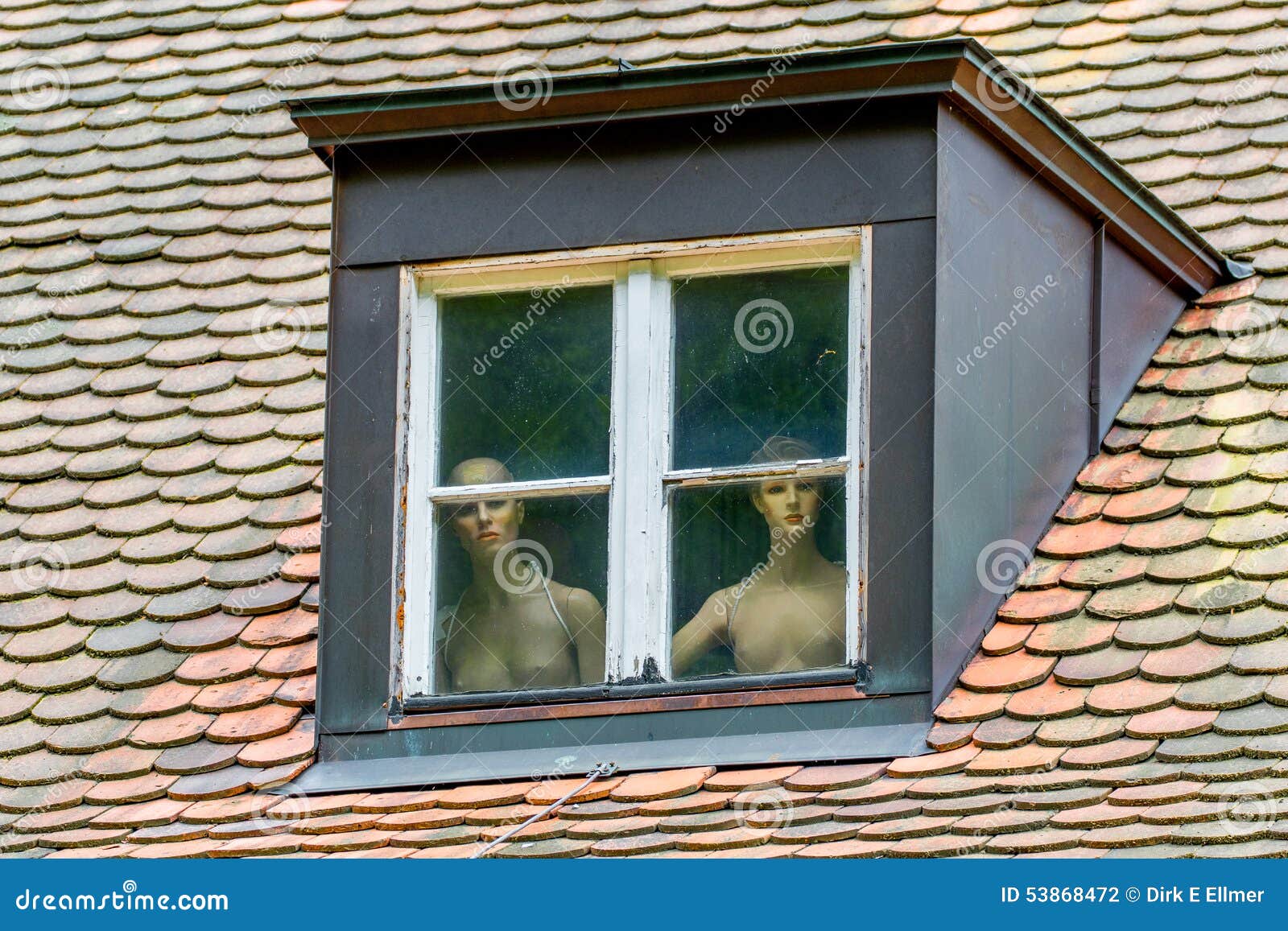 brad halfacre add naked by window photo