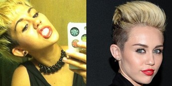 bert vermeer add miley cyrus lookalike image